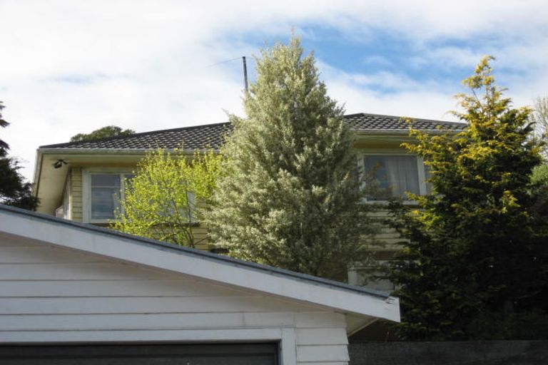 Photo of property in 69 Jenner Road, Toi Toi, Nelson, 7010