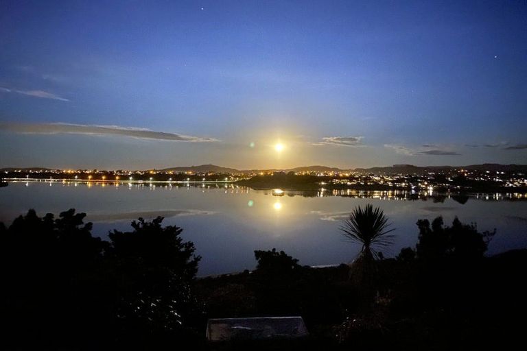 Photo of property in 49 Baycroft Avenue, Parkvale, Tauranga, 3112