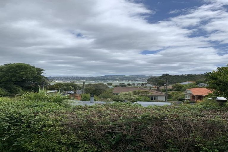 Photo of property in 31 Sunbury Street, Andersons Bay, Dunedin, 9013