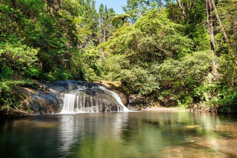 Photo of property in 168 Youngson Road, Whakamarama, Tauranga, 3179
