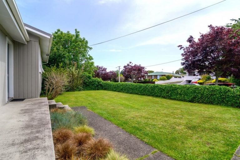 Photo of property in 8 Nikau Street, Springfield, Rotorua, 3015