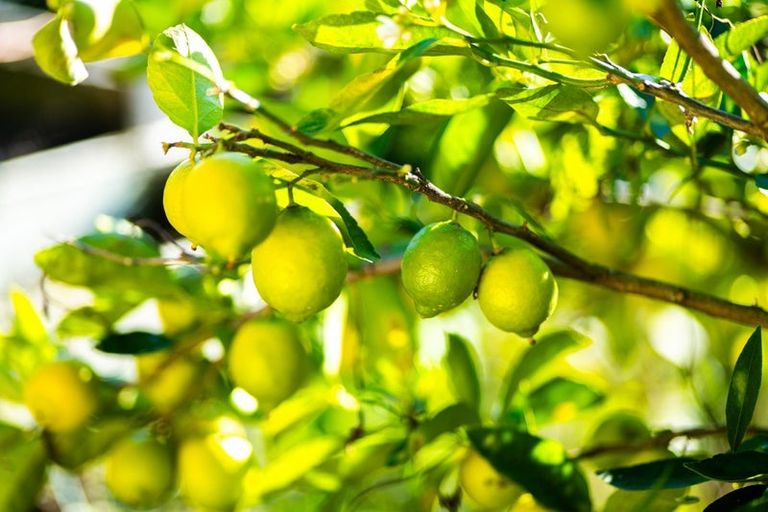 Photo of property in 3 Washington Terrace, Washington Valley, Nelson, 7010