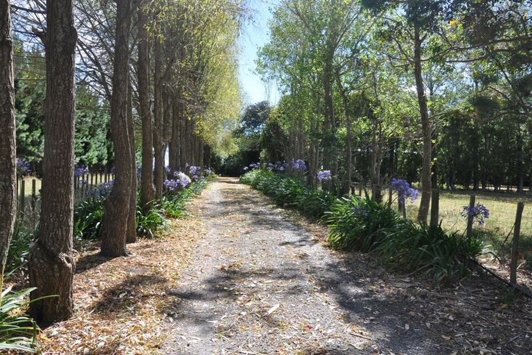 Photo of property in 200 Whitmore Road, Linton, Palmerston North, 4472