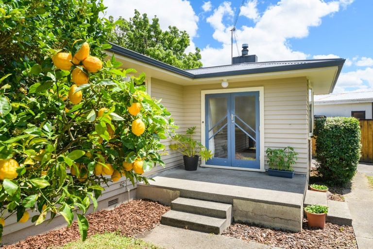 Photo of property in 26 Snowdon Avenue, Terrace End, Palmerston North, 4410