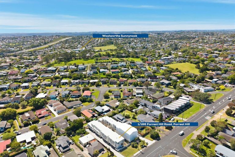 Photo of property in 1/186 Forrest Hill Road, Forrest Hill, Auckland, 0620