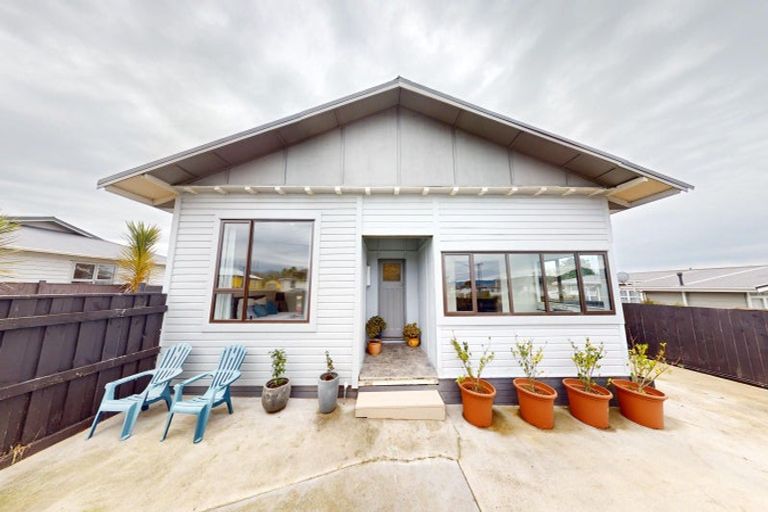 Photo of property in 93 Tiro Tiro Road, Levin, 5510