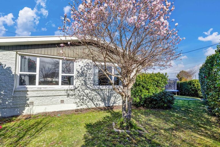 Photo of property in 1 Stackhouse Avenue, Bishopdale, Christchurch, 8053