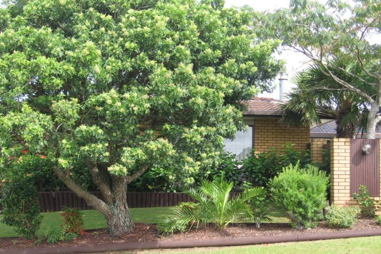 Photo of property in 1 Vintage Drive, Henderson, Auckland, 0612