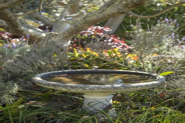 Photo of property in 16 Islington Street, Dargaville, 0310