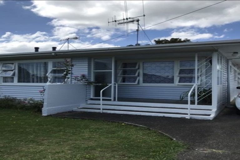 Photo of property in 44 Winchester Street, Levin, 5510