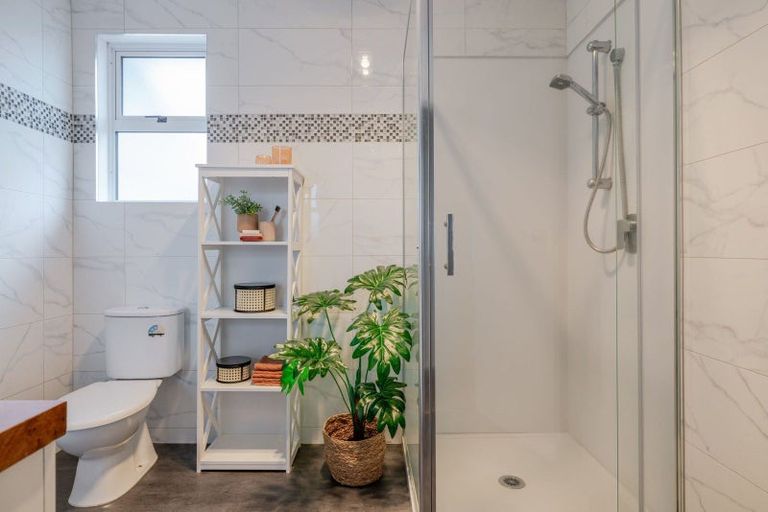 Photo of property in 31 Tyne Street, Roslyn, Dunedin, 9010