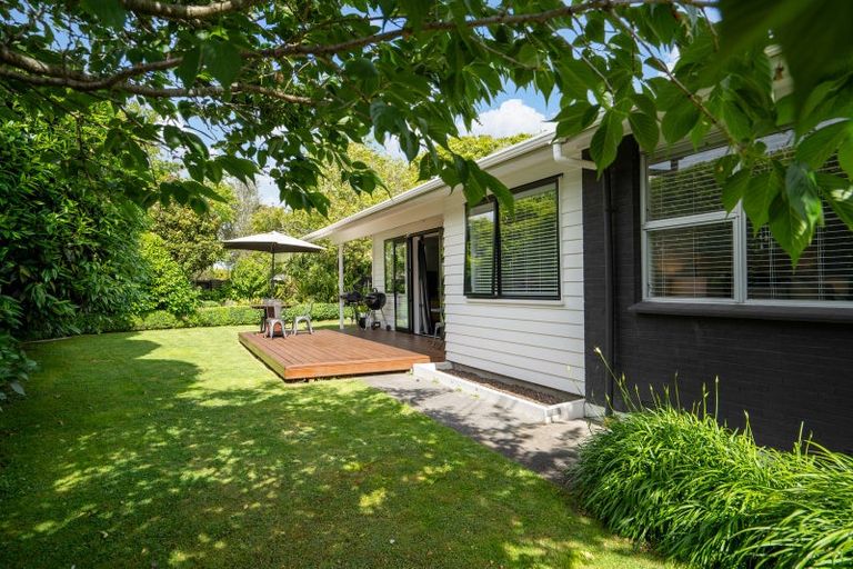 Photo of property in 203 Victoria Street, Cambridge, 3434