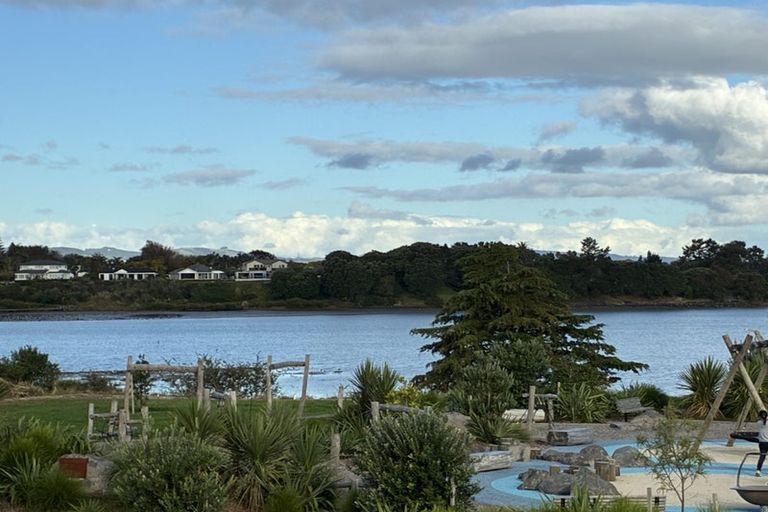 Photo of property in 131 Waituarua Drive, Takanini, Auckland, 2112