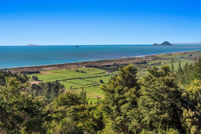 Photo of property in 201 Kokako Heights, Matata, 3194