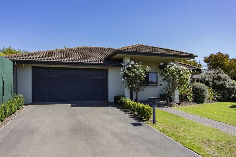 Photo of property in 19 Bunting Place, Woodend, 7610