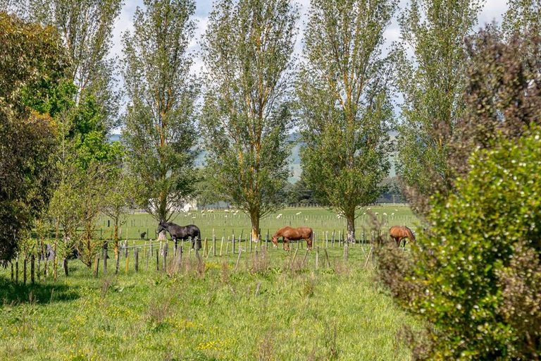 Photo of property in 732 Carters Line, East Taratahi, Masterton, 5887