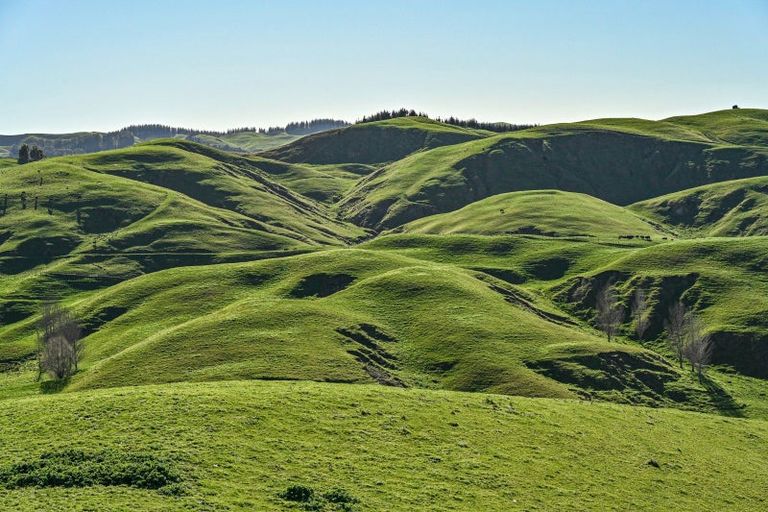 Photo of property in 717 Puketitiri Road, Puketapu, Napier, 4182