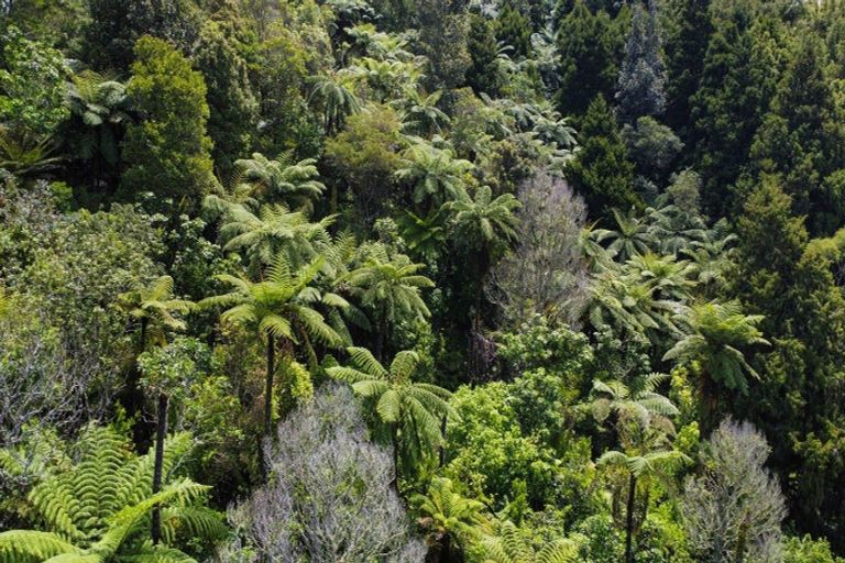 Photo of property in 830 Manawahe Road, Matata, Whakatane, 3194