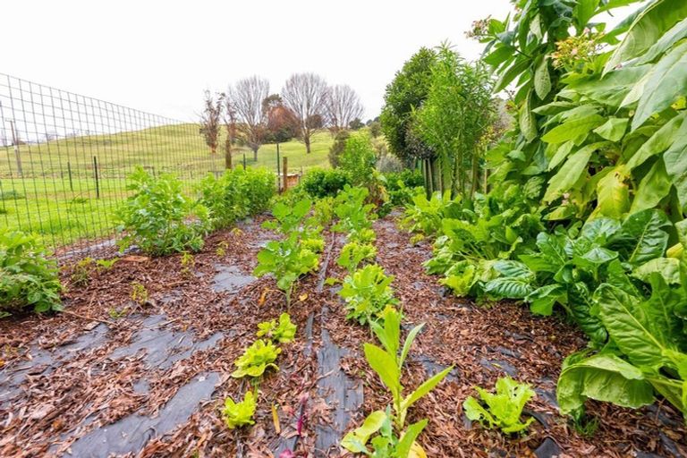 Photo of property in 429 Omanaia Road, Oue, Kaikohe, 0473