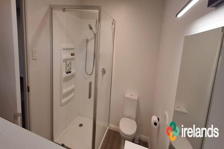 Photo of property in 479 Hills Road, Marshland, Christchurch, 8051