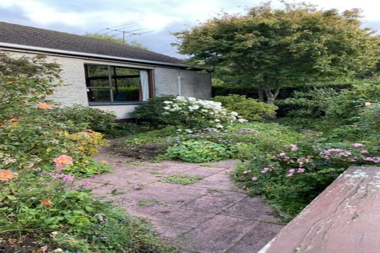 Photo of property in 188a Queen Street, North Dunedin, Dunedin, 9016