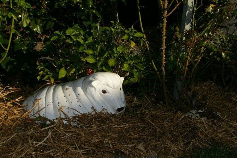 Photo of property in 18 Wither Road, Witherlea, Blenheim, 7201