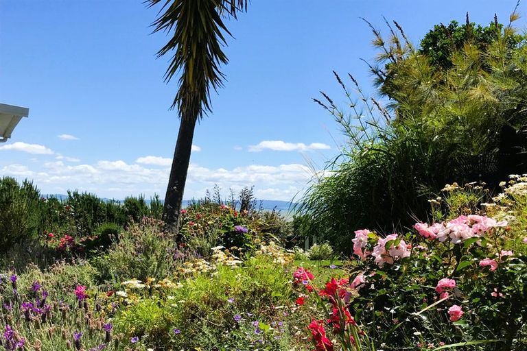 Photo of property in 101 Edward Street, Thames, 3500