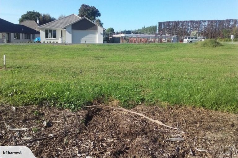 Photo of property in 16 Nelson Lane, Omokoroa, 3114