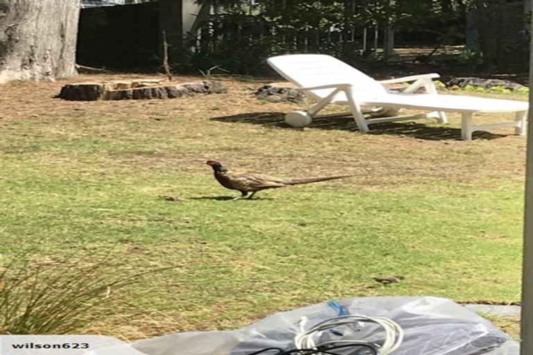 Photo of property in 202 Wade River Road, Wade Heads, Whangaparaoa, 0932