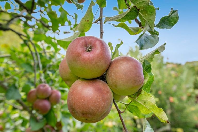 Photo of property in 1688 South Head Road, South Head, Helensville, 0874