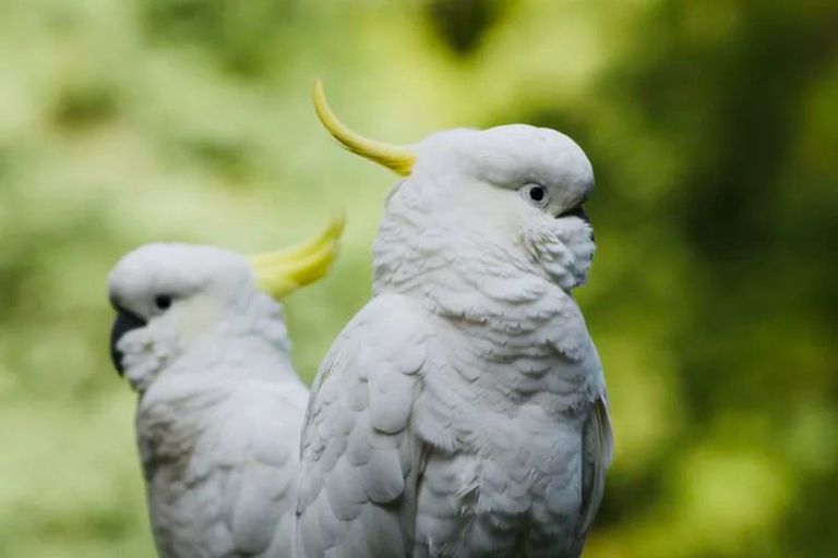 Photo of property in 1314 Wairamarama Onewhero Road, Onewhero, Tuakau, 2697