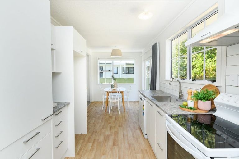 Photo of property in 194 Salisbury Street, Ashhurst, 4810