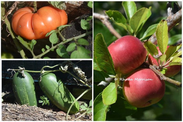 Photo of property in 354 Linton Road, Maungaturoto, 0583