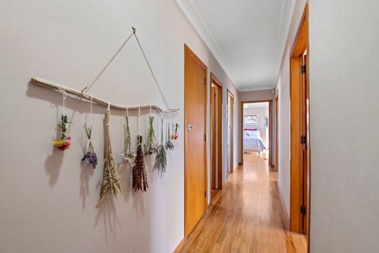 Photo of property in 67 Station Road, Matamata, 3400