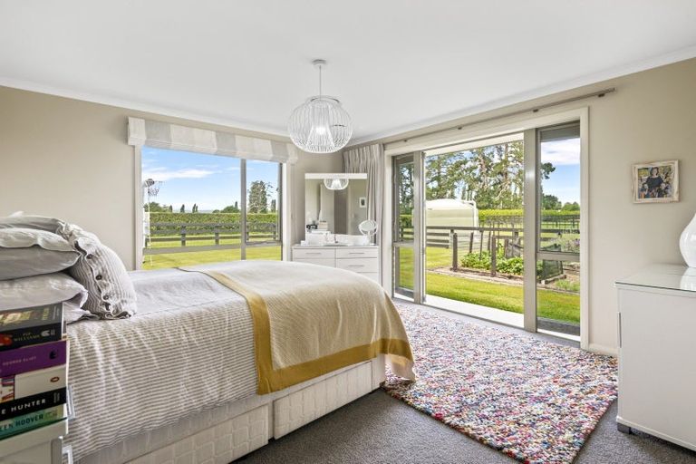 Photo of property in 165 Buckland Road, Matamata, 3472