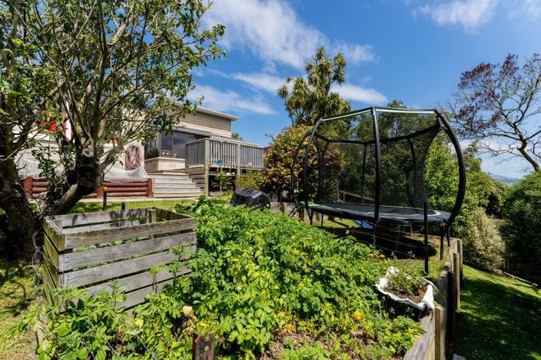Photo of property in 7 Kinvig Street, Andersons Bay, Dunedin, 9013