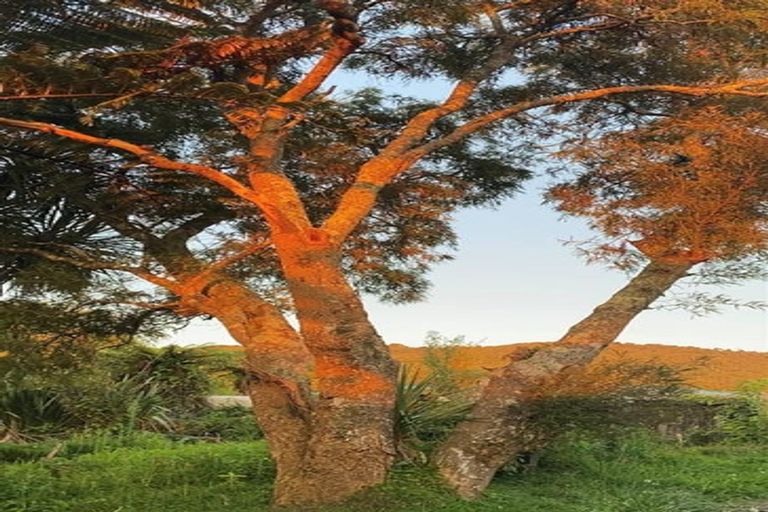 Photo of property in 23 Lydia Street, Greymouth, 7805