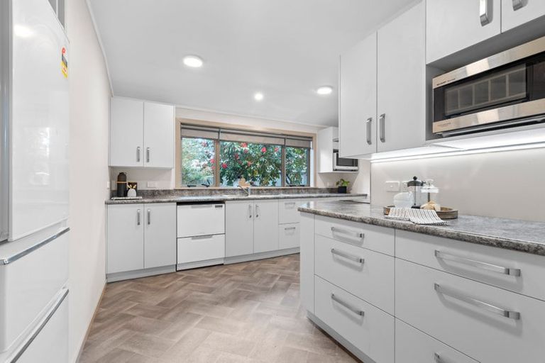 Photo of property in 20 Totara Street, Lansdowne, Masterton, 5810