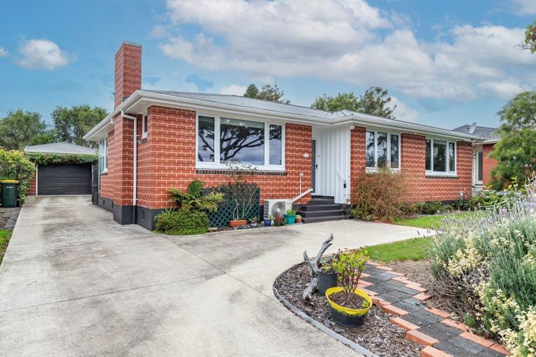 Photo of property in 40 Graham Street, Levin, 5510