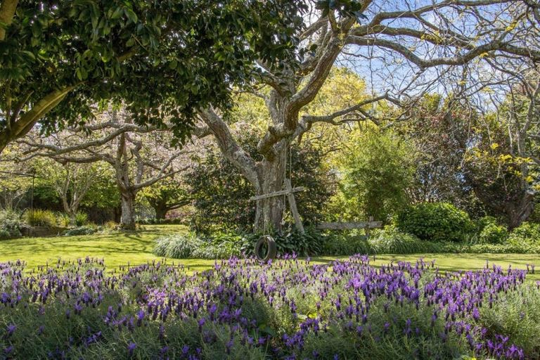 Photo of property in 76 Pukakura Road, Katikati, 3178