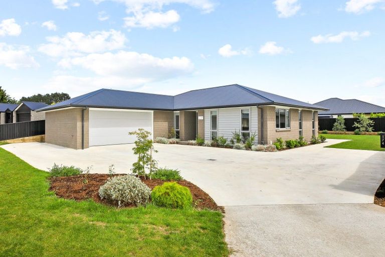 Photo of property in 174 Page Crescent, Te Awamutu, 3800