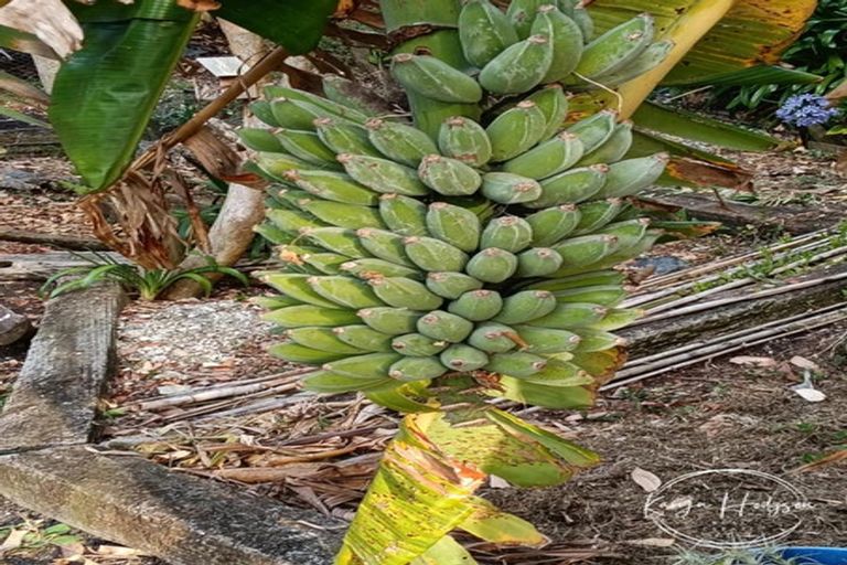 Photo of property in 10 Regent Street, Whakapirau, Maungaturoto, 0583