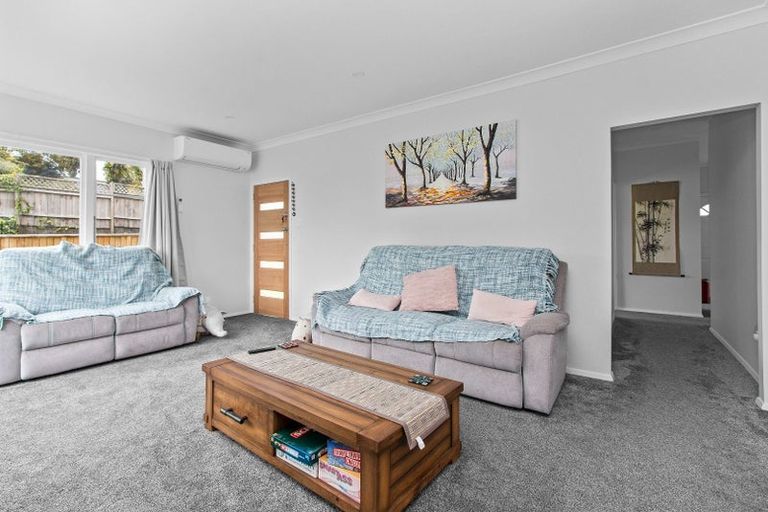 Photo of property in 20 Alison Street, Hamilton Lake, Hamilton, 3204