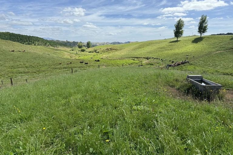 Photo of property in 829 Honikiwi Road, Honikiwi, Otorohanga, 3973