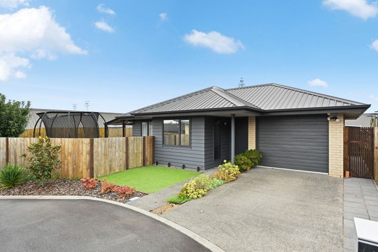 Photo of property in 21 Taotahi Avenue, Dinsdale, Hamilton, 3204