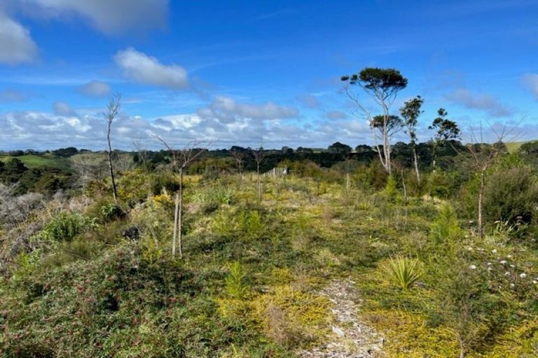 Photo of property in 225a Awhitu Central Road, Awhitu, 2684