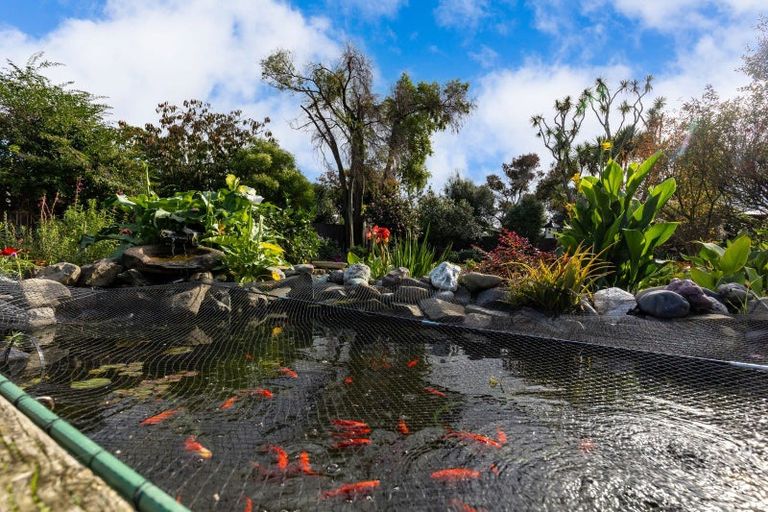 Photo of property in 5 Ida Street, Redwoodtown, Blenheim, 7201