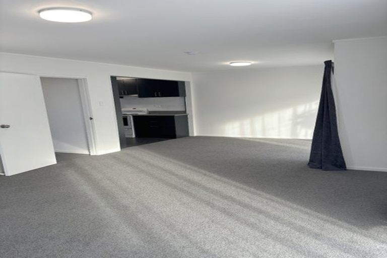 Photo of property in 310 Mansfield Street, Newtown, Wellington, 6021