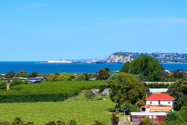 Photo of property in 15 Terrace Road, Bay View, Napier, 4104