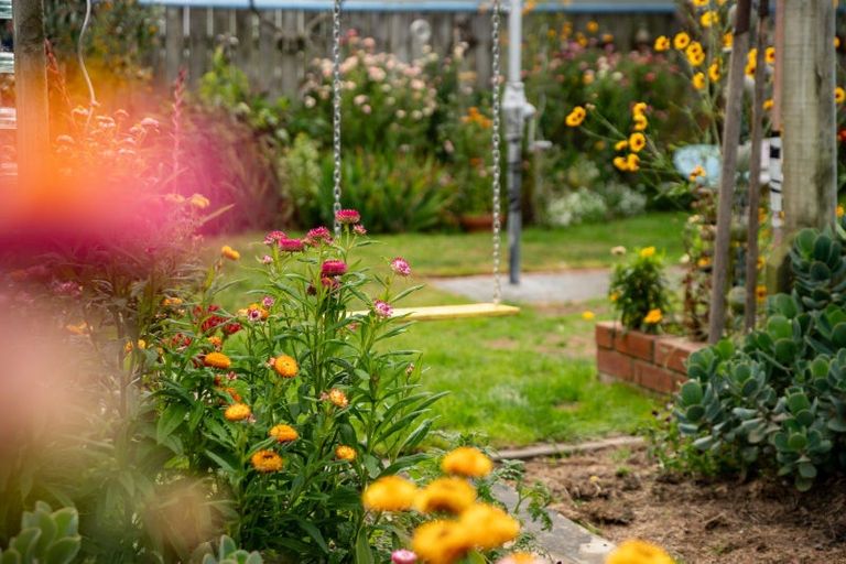 Photo of property in 26 Resolution Street, Lyall Bay, Wellington, 6022